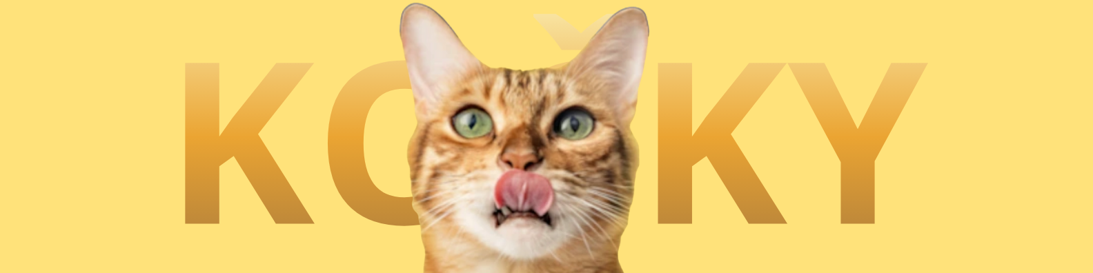 Vše pro kočky – MEGAPET.cz